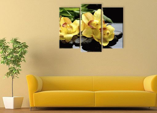 Желтая орхидея3