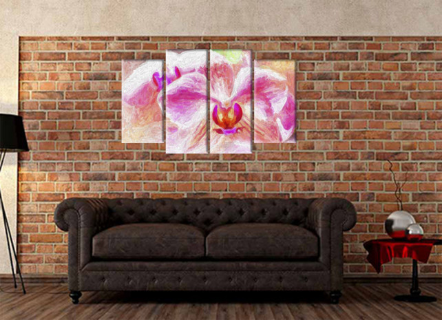 красота розовых орхидей